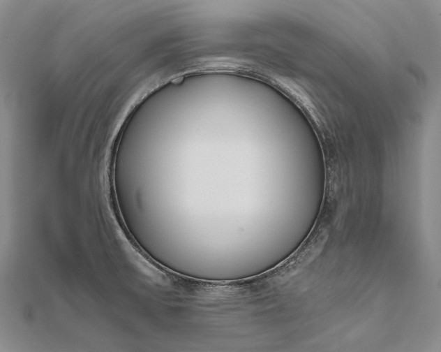 X0000111851475200908061304