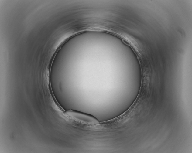 X0000111851476200908061304