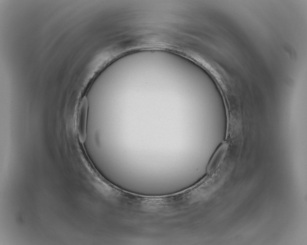 X0000111851477200908061304