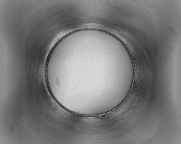 X0000111851478200908061304