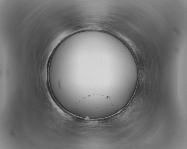 X0000111851479200908061304