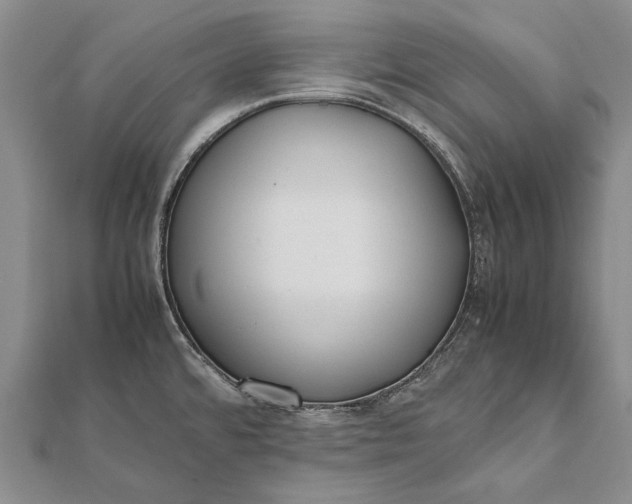 X0000111851480200908061304