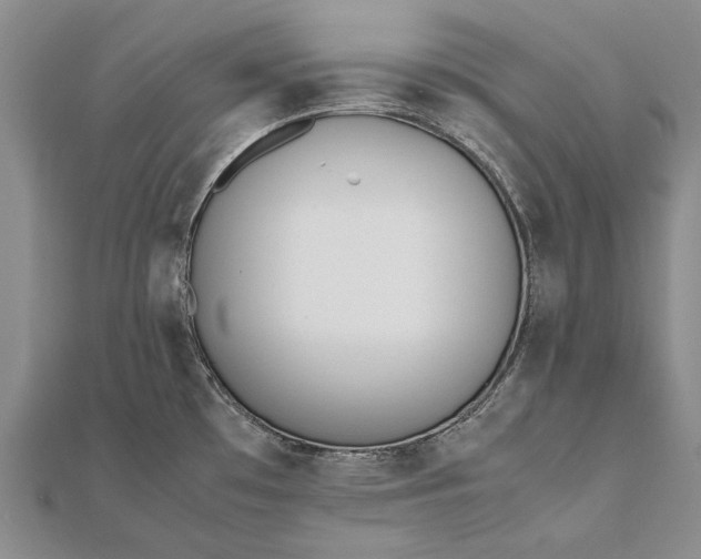 X0000111851481200908061304