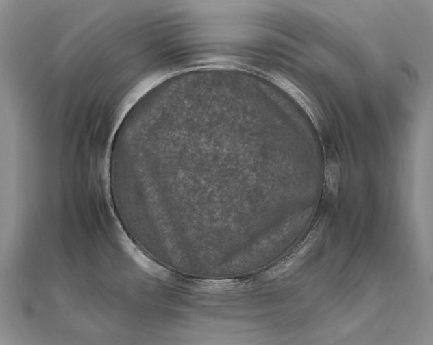 X0000111851482200908061304