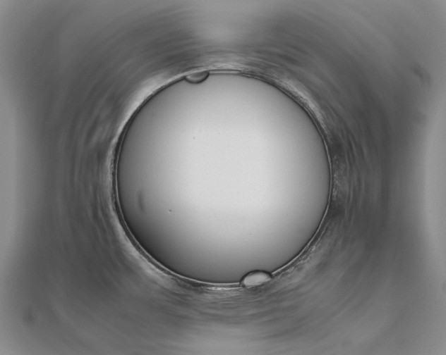 X0000111851483200908061304