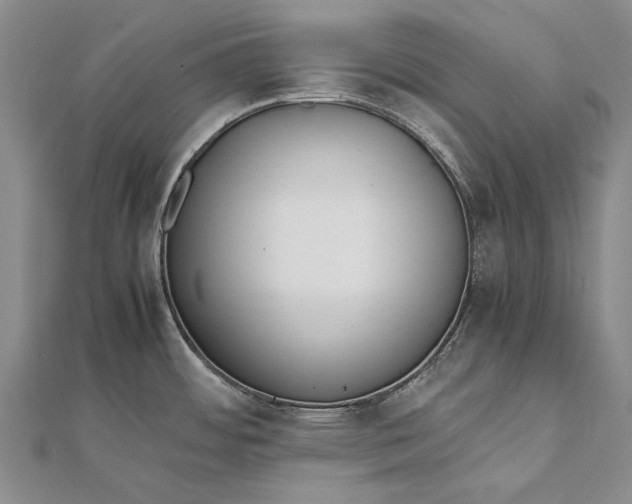 X0000111851484200908061304