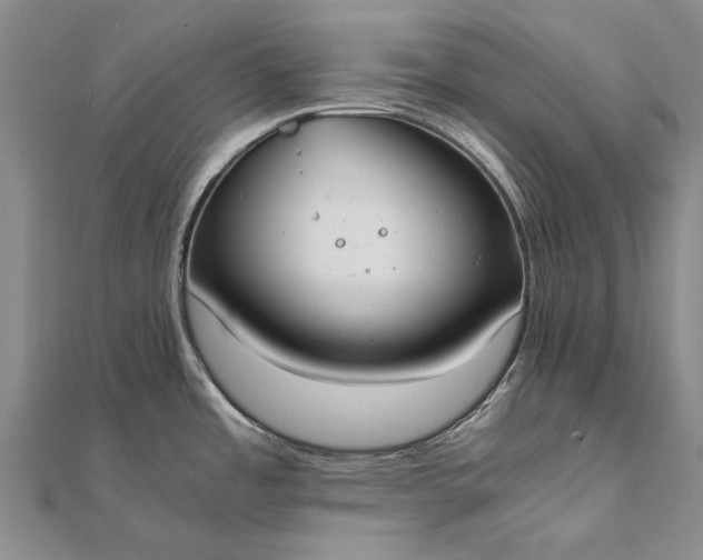 X0000111851485200908061304