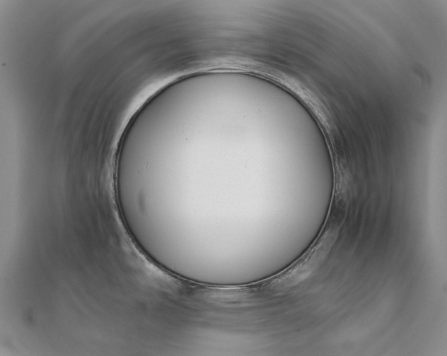 X0000111851486200908061304