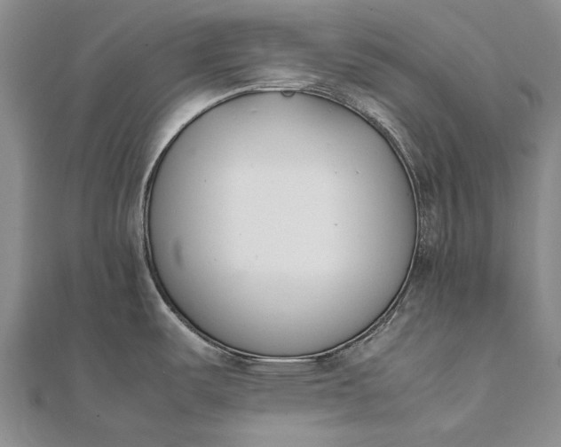 X0000111851487200908061304