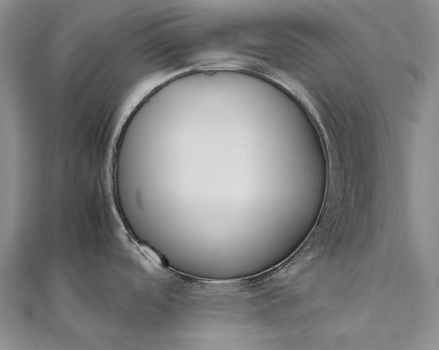 X0000111851488200908061304