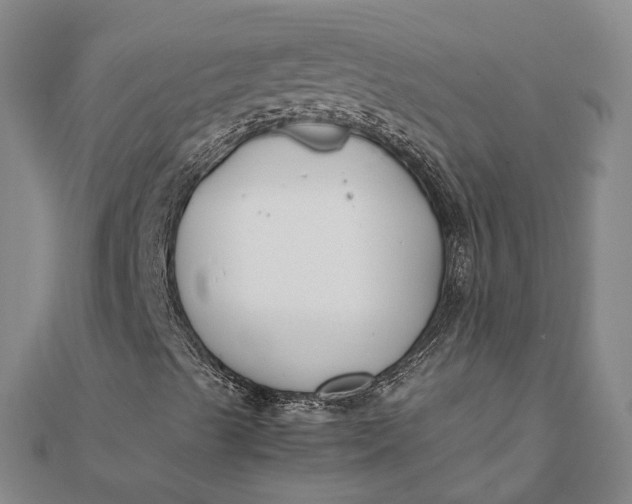 X0000111851489200908061303