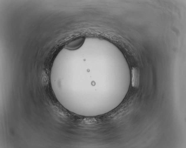 X0000111851491200908061303