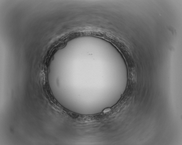 X0000111851493200908061303