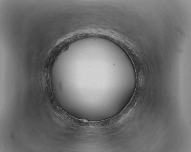 X0000111851494200908061303