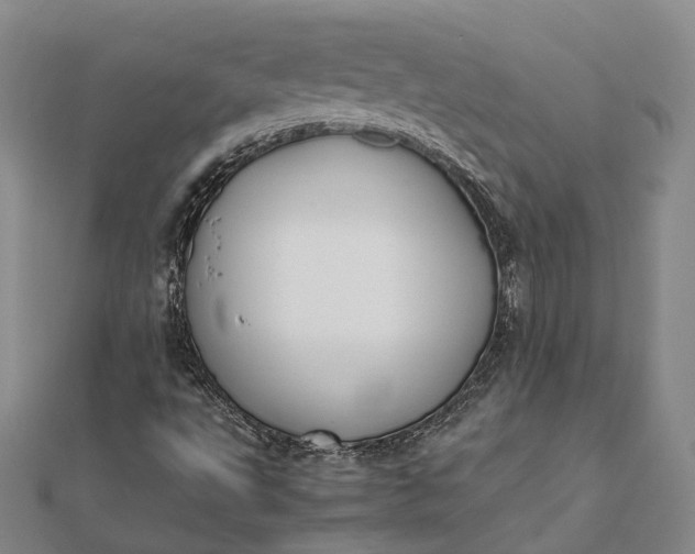 X0000111851495200908061303