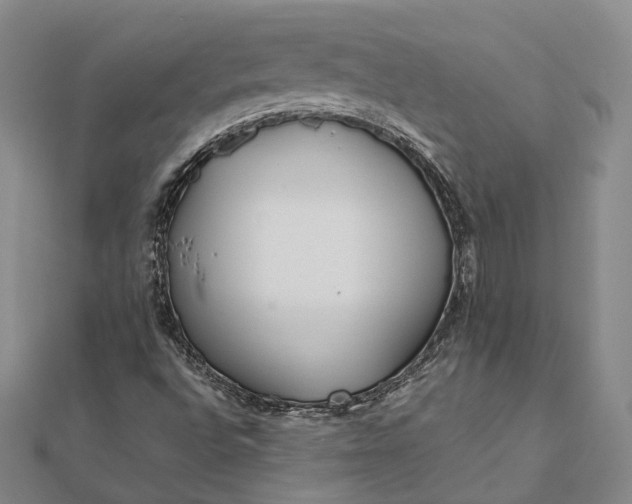 X0000111851496200908061303