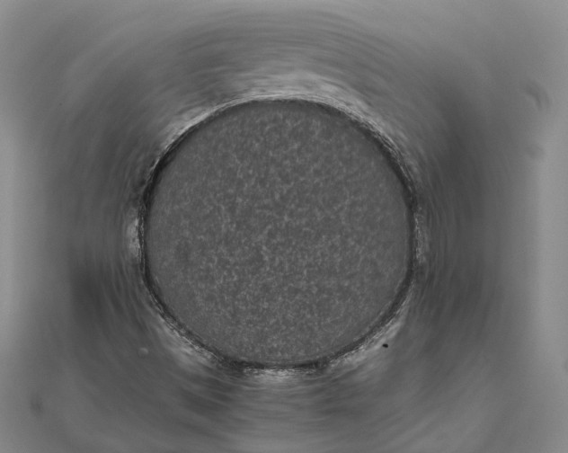 X0000111851497200908061303