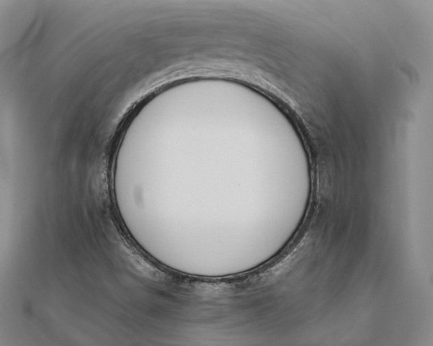 X0000111851498200908061303