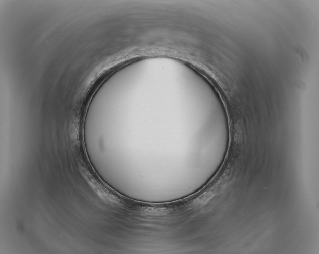 X0000111851499200908061303