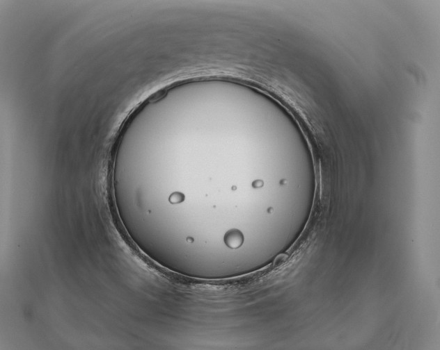 X0000111851500200908061303