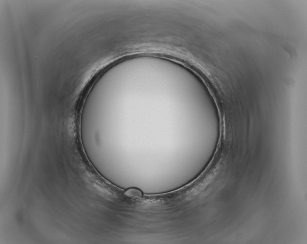 X0000111851501200908061303