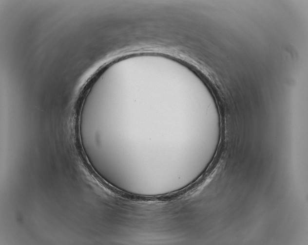 X0000111851502200908061303