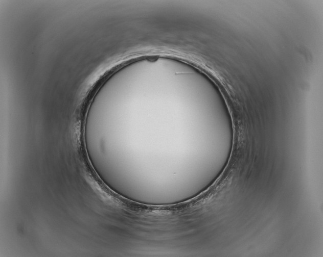 X0000111851503200908061303