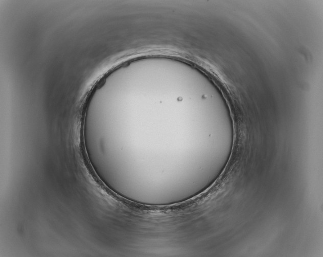 X0000111851504200908061303