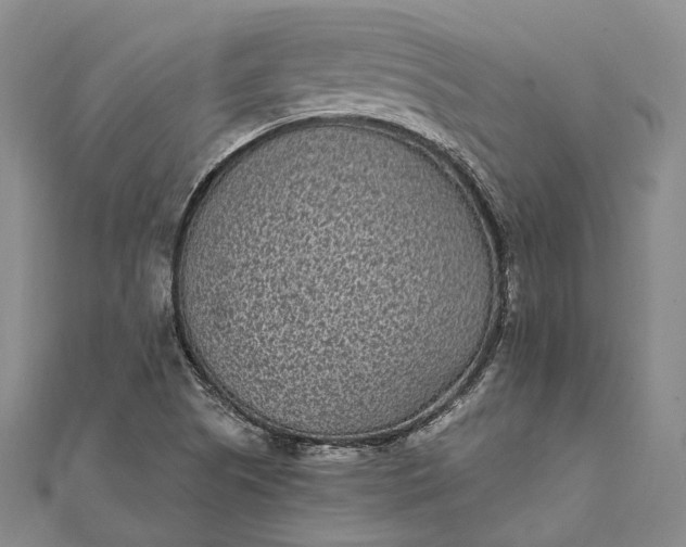 X0000111851505200908061303