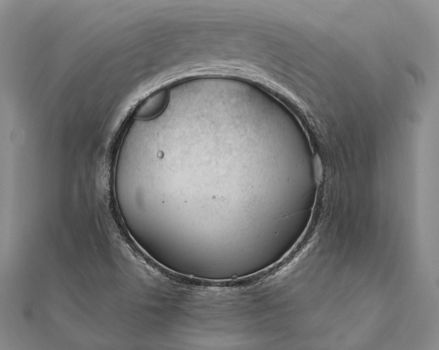 X0000111851506200908061303