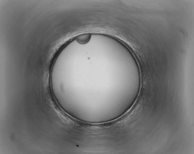 X0000111851507200908061303