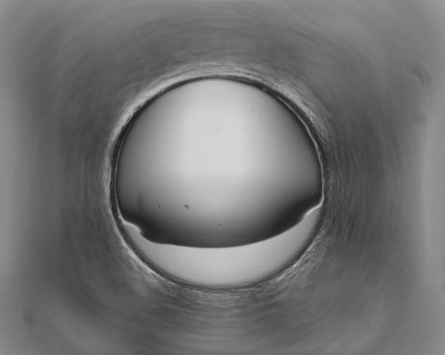 X0000111851508200908061303