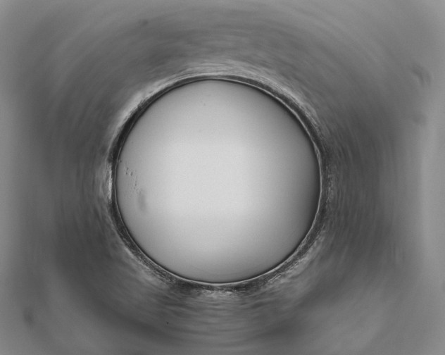 X0000111851509200908061303