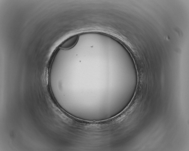 X0000111851510200908061303