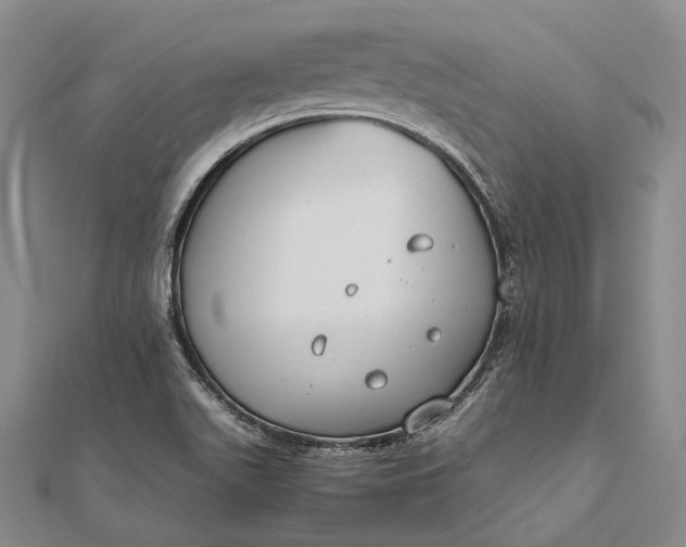 X0000111851511200908061303