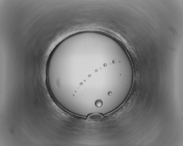 X0000111851512200908061303