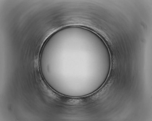 X0000111851513200908061303