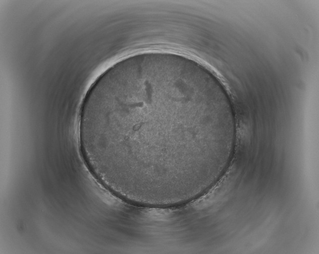 X0000111851514200908061303