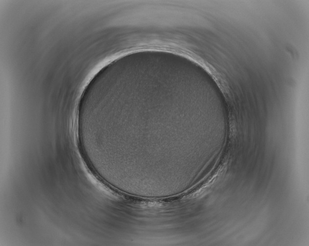 X0000111851515200908061303