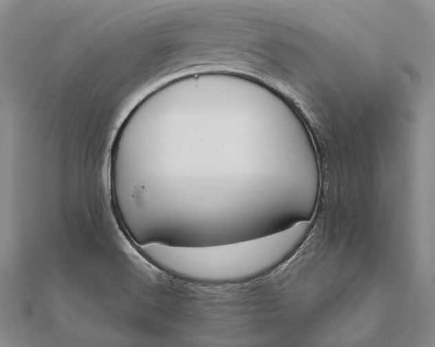 X0000111851516200908061303