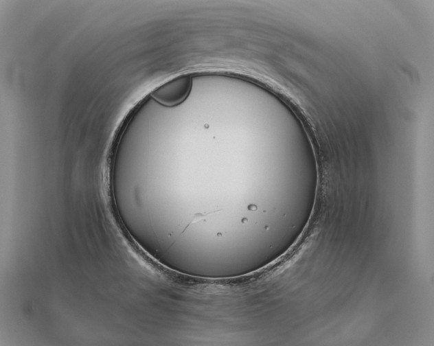 X0000111851517200908061303