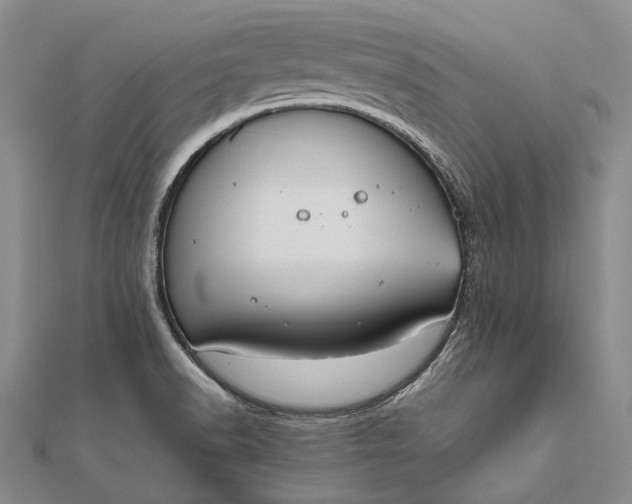 X0000111851518200908061303