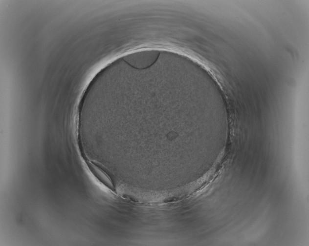 X0000111851519200908061303