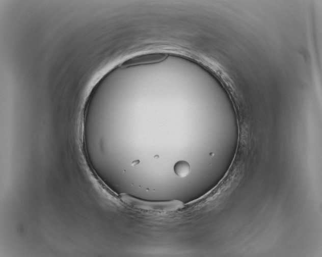 X0000111851520200908061303