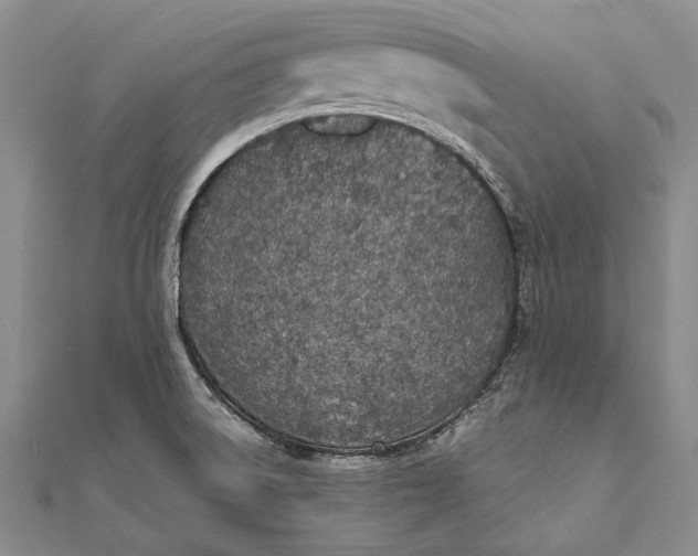 X0000111851522200908061303