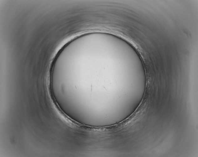 X0000111851523200908061303