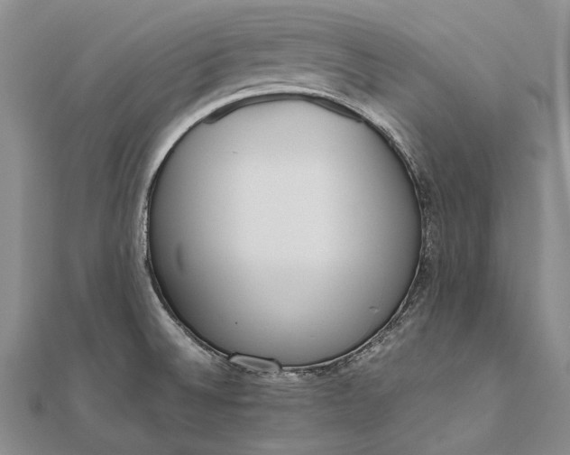 X0000111851524200908061304