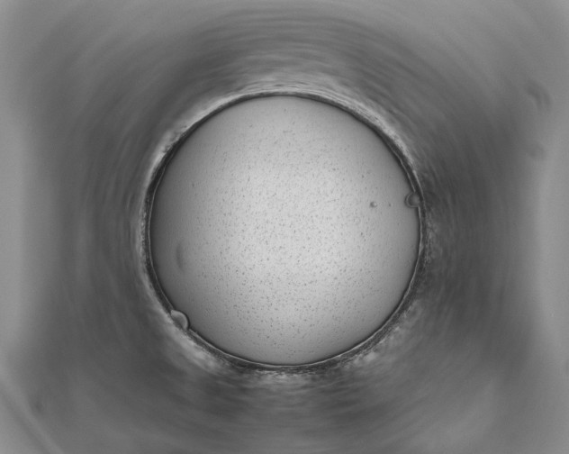 X0000111851525200908061304