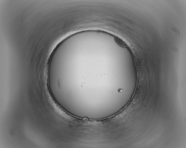 X0000111851526200908061304