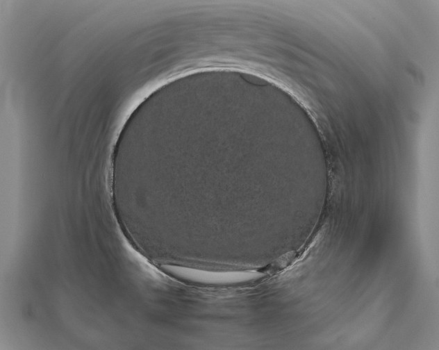 X0000111851527200908061304